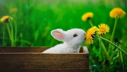 谈球吧还得找找状态!王曦雨两盘不敌鲁斯,无缘WTA1000罗马站女单正赛